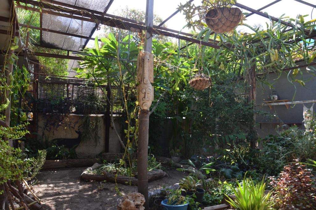 a greenhouse with a bunch of plants in it at Old City Charm in Beer Sheva
