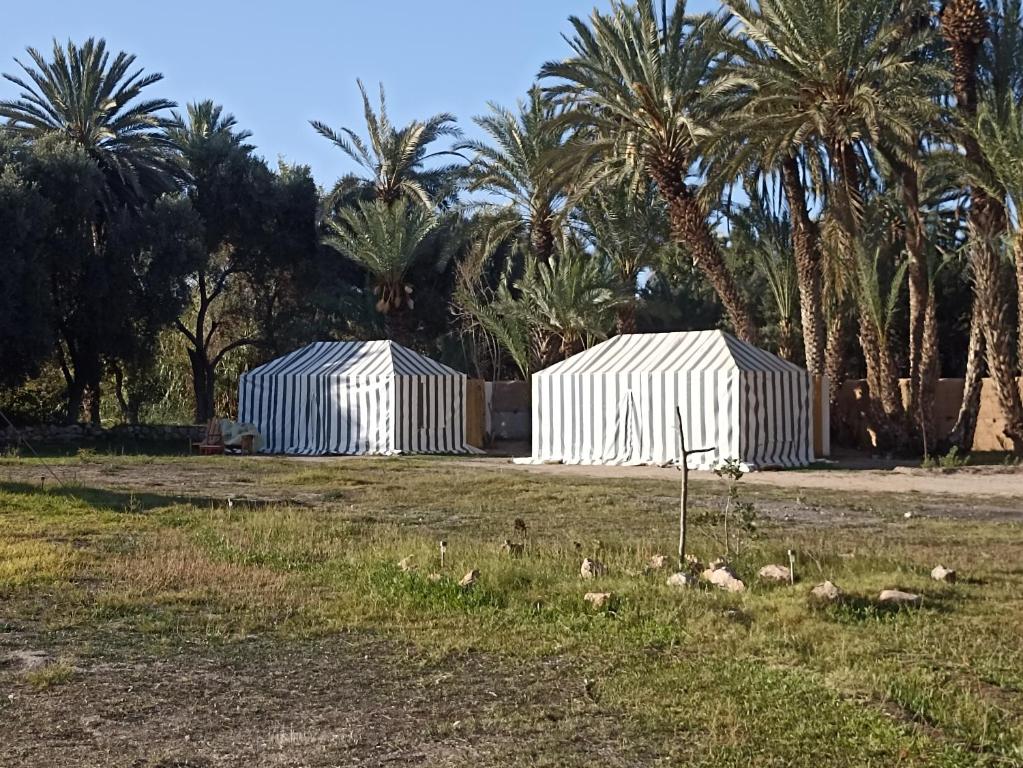 Giardino di BIVOUAC Sous Les Palmiers Bleus