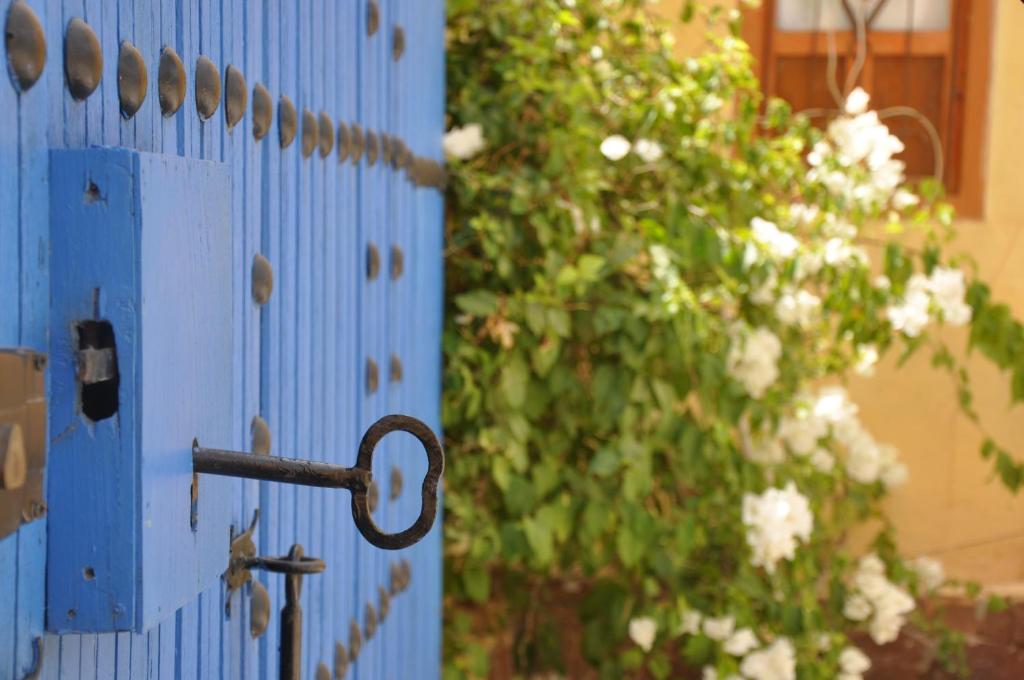 una porta blu con manico e un cespuglio con fiori bianchi di BIVOUAC Sous Les Palmiers Bleus a Ouijjane