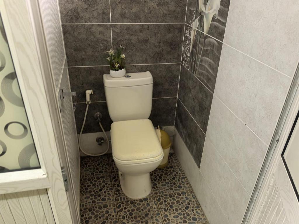 a bathroom with a toilet with a plant on top of it at Soothing home in Brisée Verdière