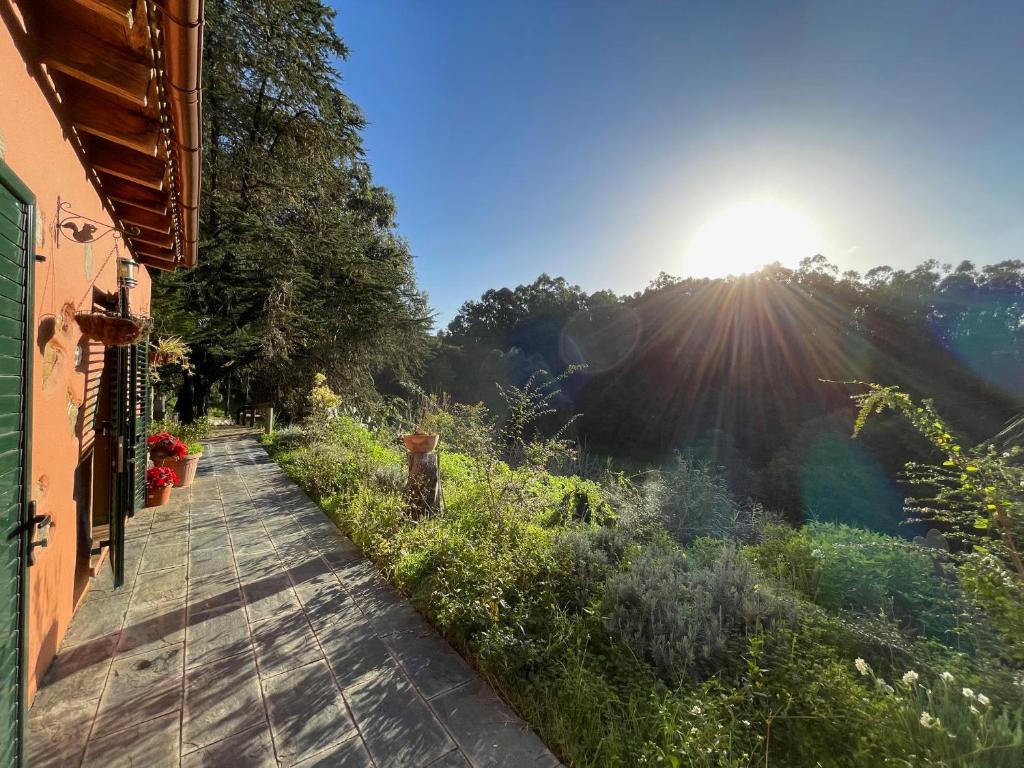 a walkway in a field with the sun in the sky at Finca El Lance Zumacal in Firgas