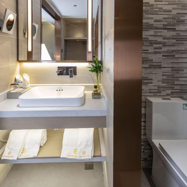 Koupelna v ubytování Shenzhen Jincheng Hotel