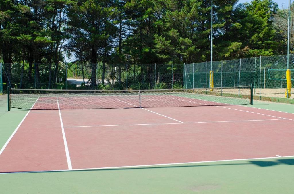 Tenis a/nebo squash v ubytování Hotel Solara nebo okolí