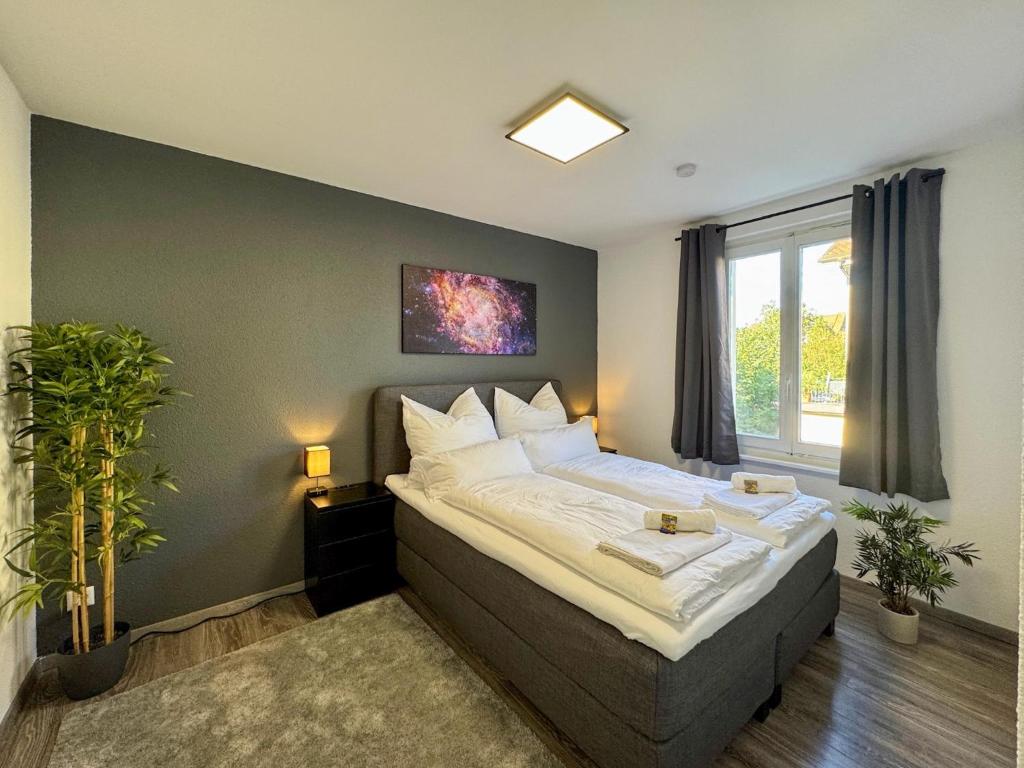 HARIKOA Apartment - close to City Center - FREE PARKING - Netflix - fast WiFi - Resim 9