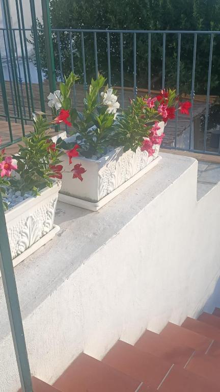 MAISON SAINT MICHAEL - 10