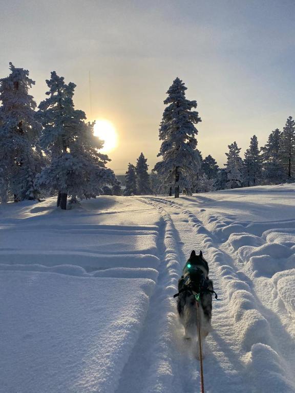 Arctic Ranch v zimě