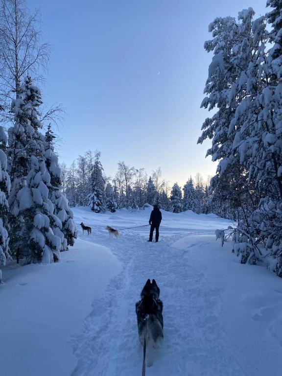 Arctic Ranch v zimě