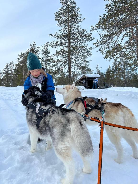 Domácí mazlíčci ubytovaní s hosty v ubytování Arctic Ranch