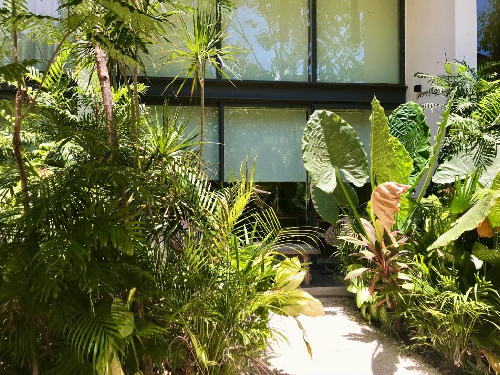 Image showcasing L'aab Kay Tulum Loft in a tropical garden, Tulum (updated prices 2026)