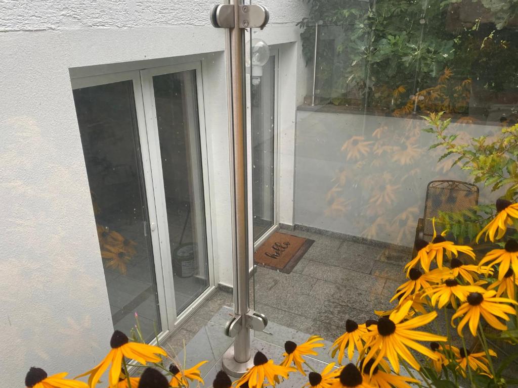 un montón de flores amarillas delante de una ventana en Garten Eden, en Geisbach