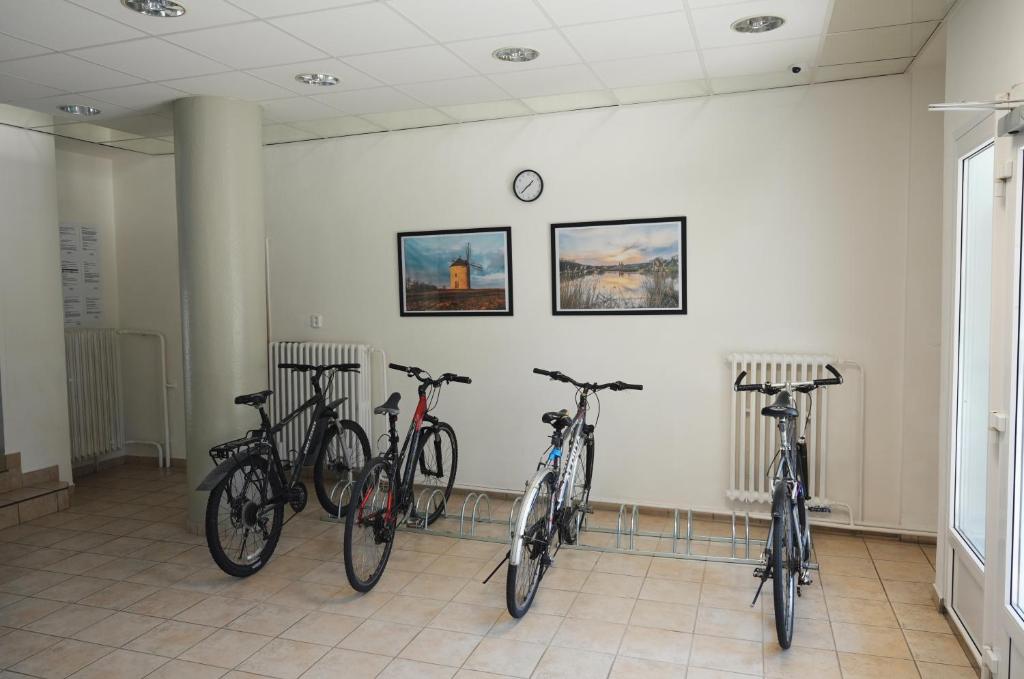 Jízda na kole v ubytování Morava 309 Uherské Hradiště Šafaříkova 855 nebo okolí