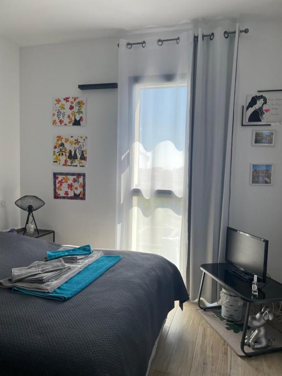 une chambre avec un lit, une télévision et une fenêtre dans l'établissement T3 cosy tout confort, à Collioure