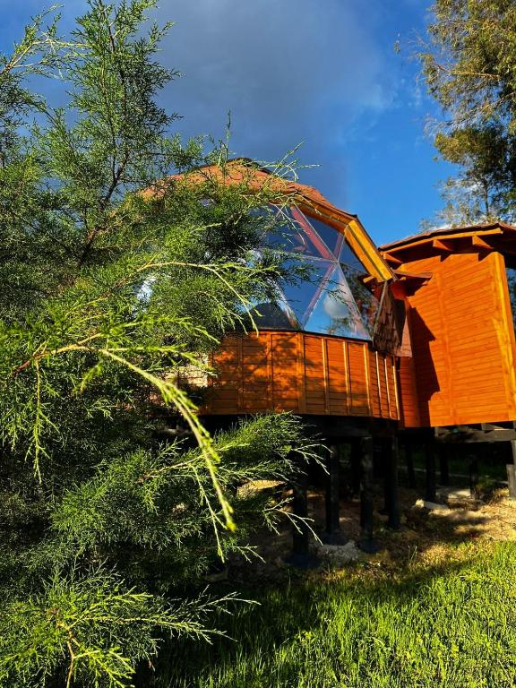 Zahrada ubytování Glamping Shalom