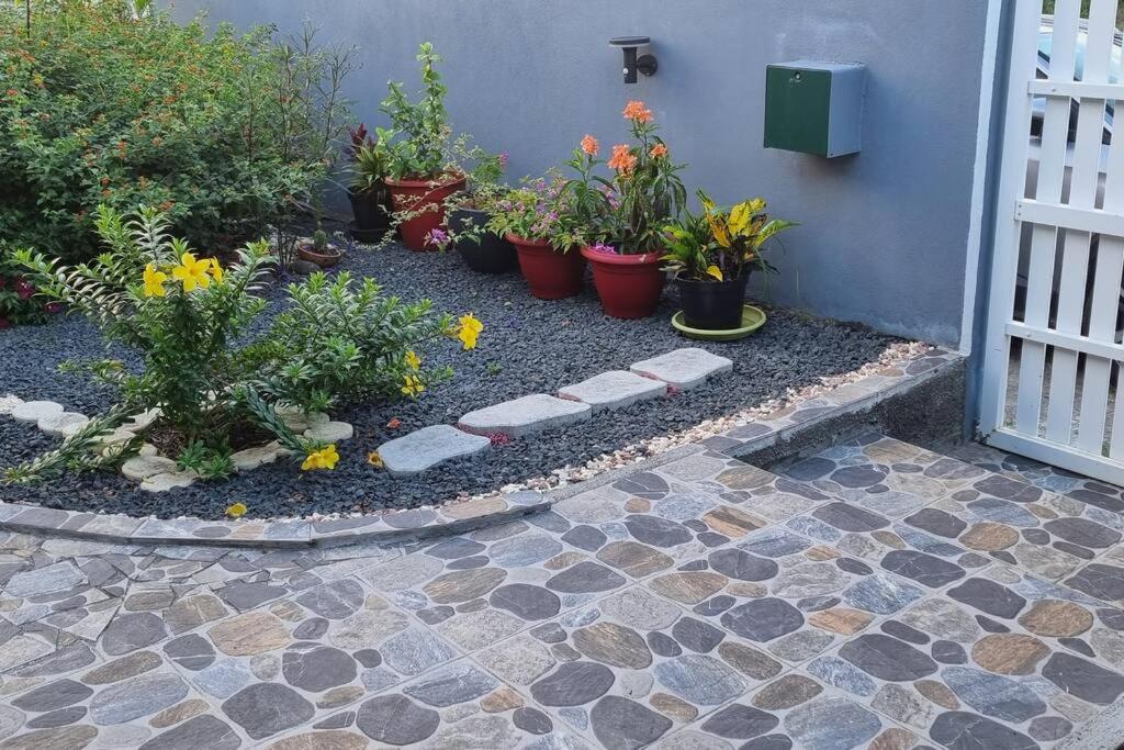 Zahrada ubytování Charmant studio d'invité - Baie-Mahault