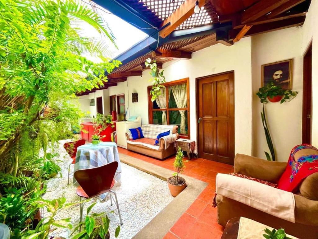 Κήπος έξω από το La casita de Charlie