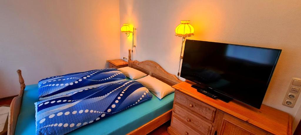 TV a/nebo společenská místnost v ubytování Hotel garni Am Hochwald