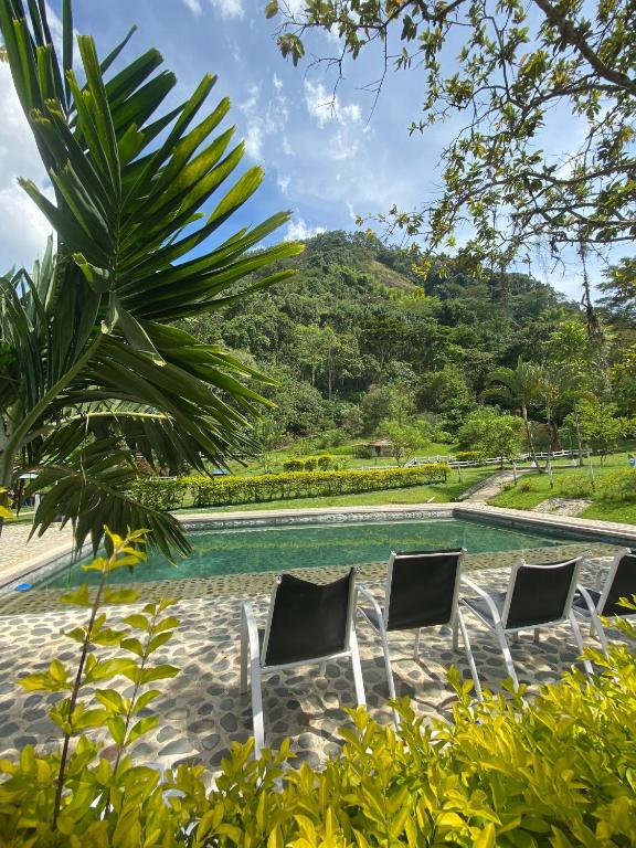 a group of chairs sitting next to a swimming pool at Ecohotel La Italia- Hotel Venecia, Antioquia in Venecia