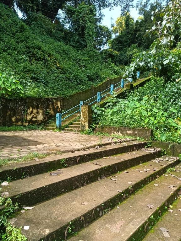 Zahrada ubytování Good Vibes Homestay-Honnavar