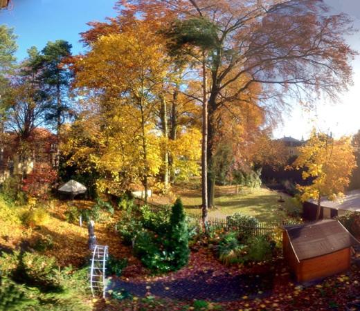 Hotel Villa Herzog - Resim 40