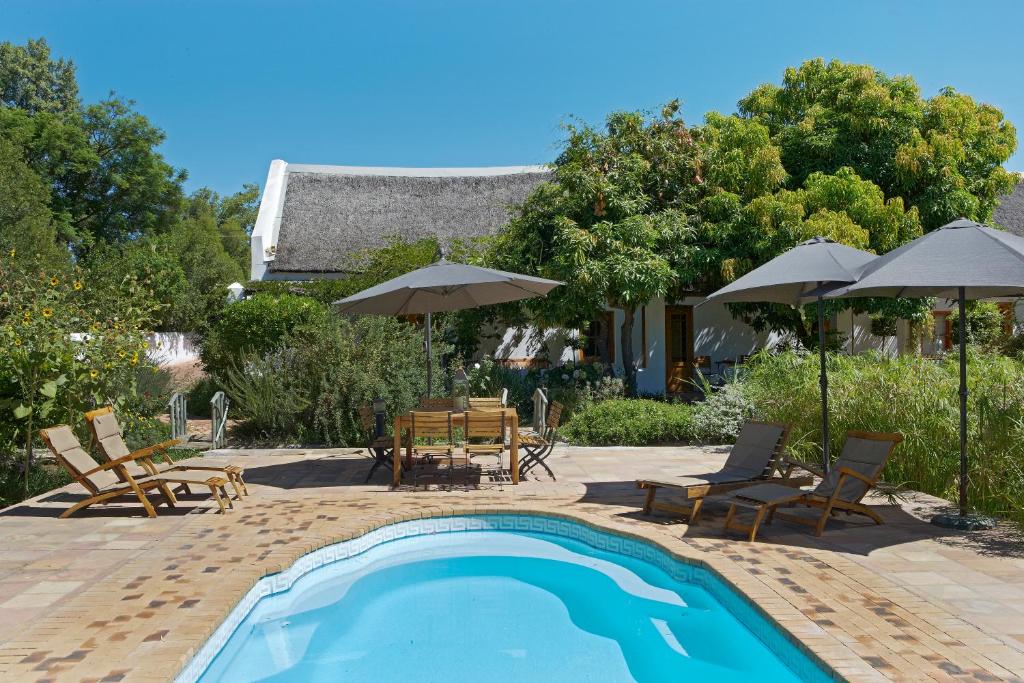 Yellow Aloe, Clanwilliam (updated prices 2026)