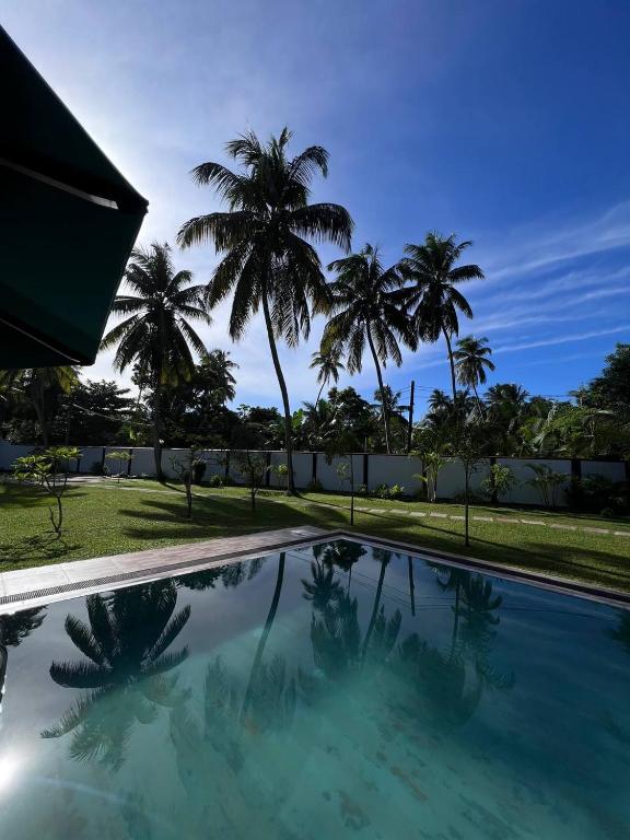 a swimming pool with palm trees in the background at Cozy Villa in Hikkaduwa
