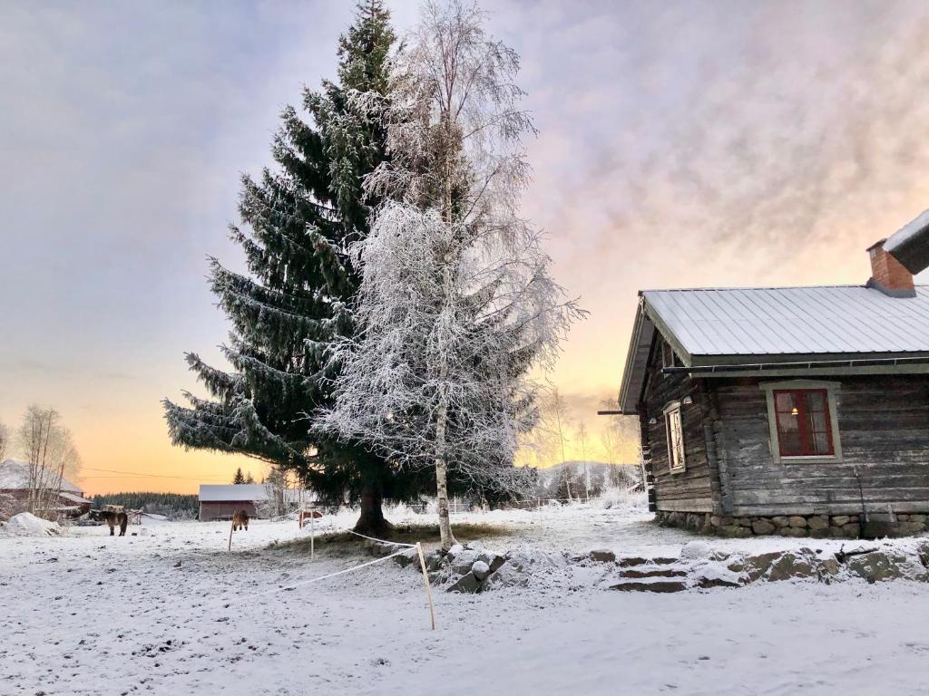 Log Cabin from 1820s with wood-heated sauna