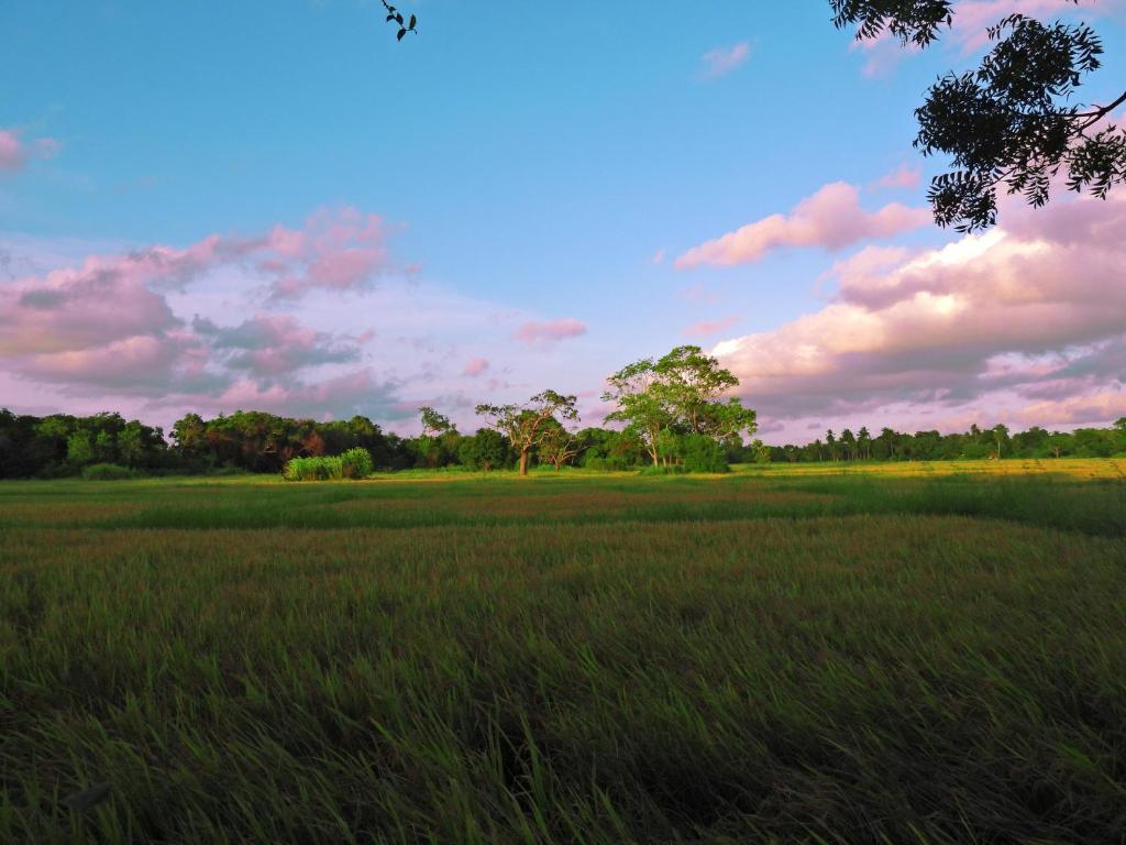 Green Sapphire Holiday Resort Wilpaththu - 1