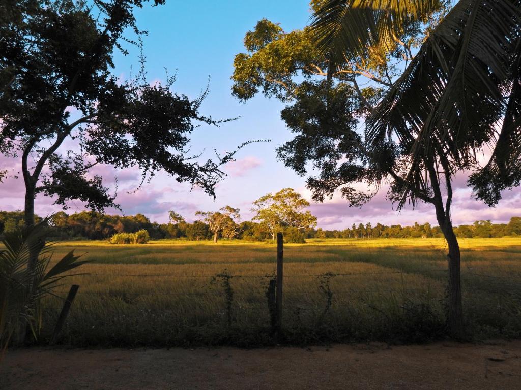 Green Sapphire Holiday Resort Wilpaththu - 2