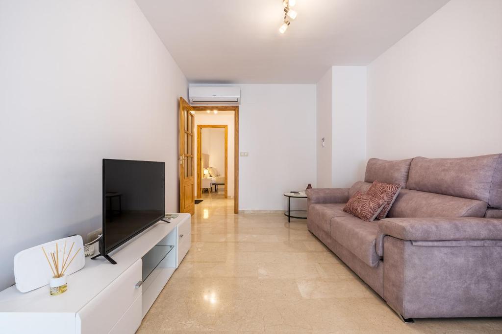 TV a/nebo společenská místnost v ubytování Apartamento Molinillo
