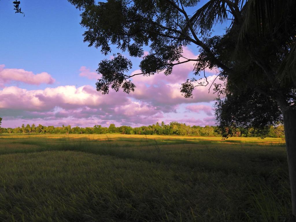 Green Sapphire Holiday Resort Wilpaththu - 3