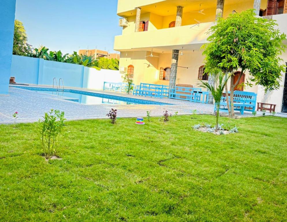 Bazén v ubytování Luxor View Hostel nebo v jeho okolí