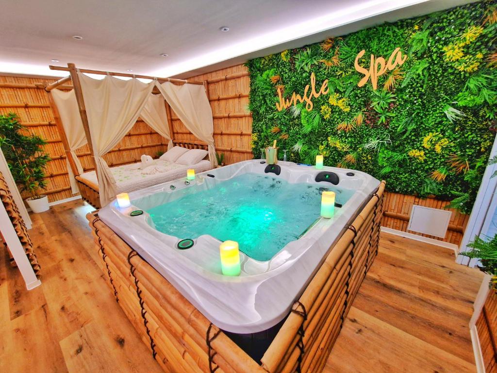 Fotografie z fotogalerie ubytování JUNGLE SPA-4 Pers-Jacuzzi-Parking-Jardin-Clim-Colmar v destinaci Muntzenheim