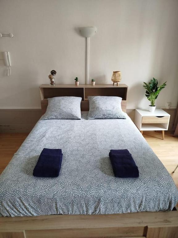 un lit avec deux oreillers bleus dessus dans l'établissement Le Carnot 2, à Besançon