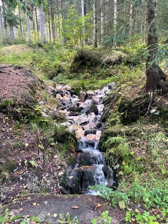Príroda v okolí apartmánu