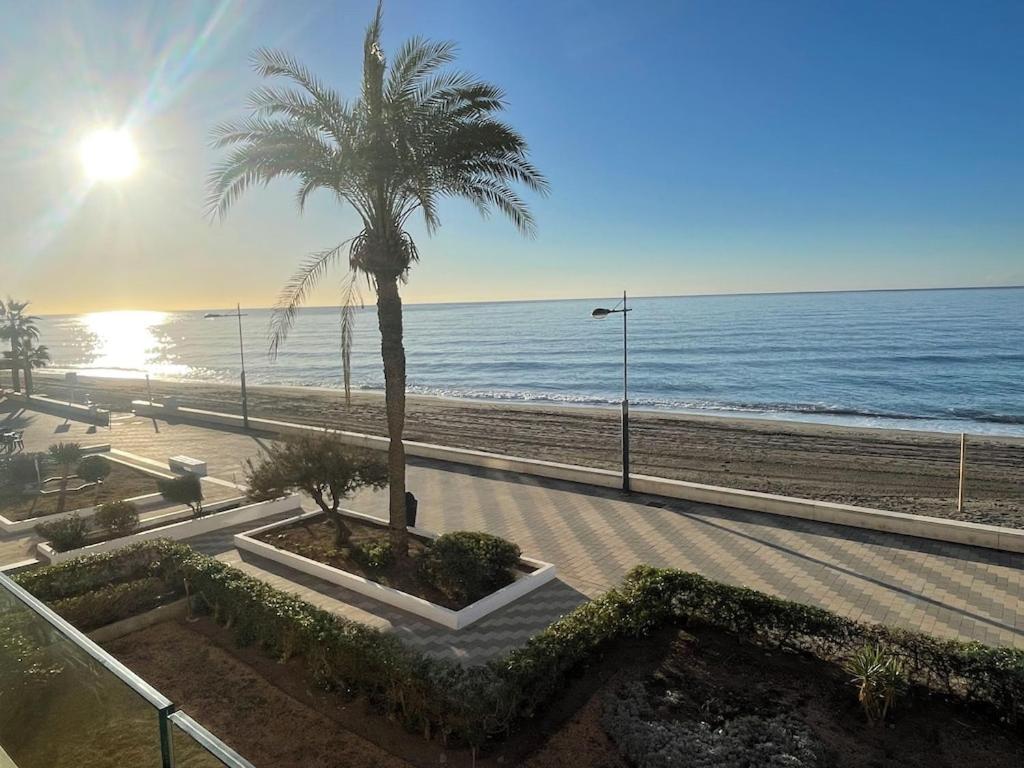 a beach with a palm tree and the ocean at Genial 1ª linea de mar Mediterráneo in Torrox