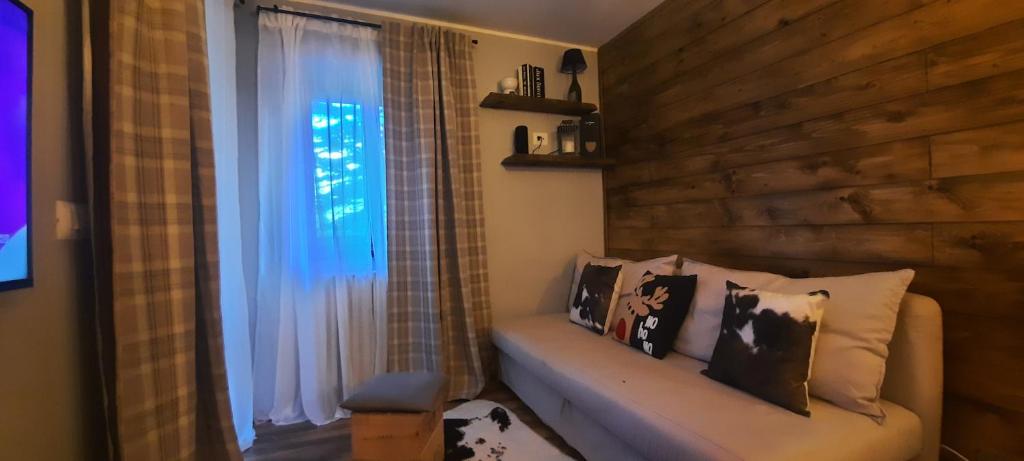 un salon avec un canapé et une fenêtre dans l'établissement Ski House Marmotta, à Borgata Sestriere