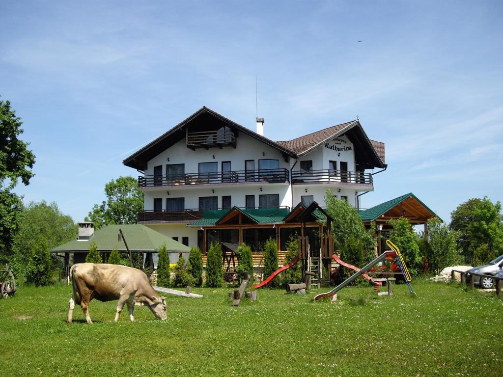 una mucca che pascola in un prato di fronte a una casa di Villa Katharina Bran a Bran