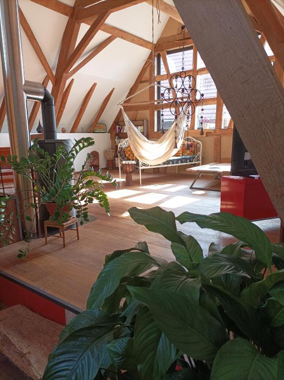 une chambre avec un hamac dans une pièce ornée de plantes dans l'établissement Chez Marie et Fred, à Hoffen