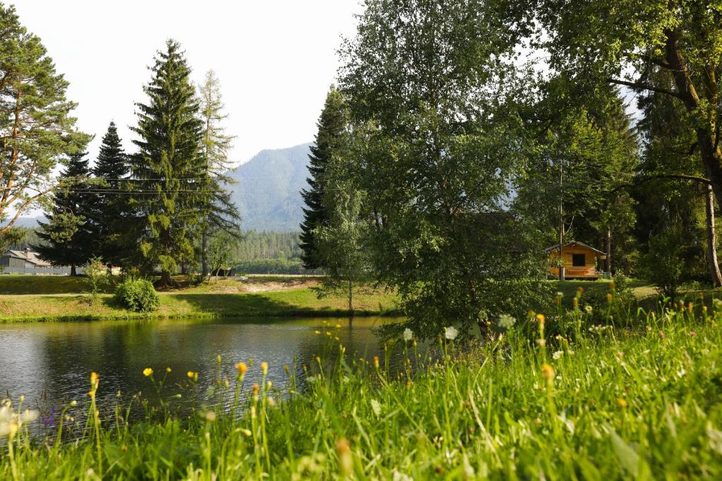 Příroda nedaleko apartmánu