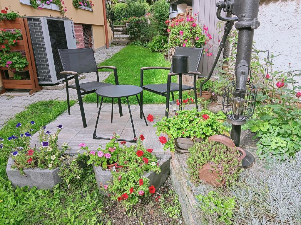 Zahrada ubytování Apartmán Kácov