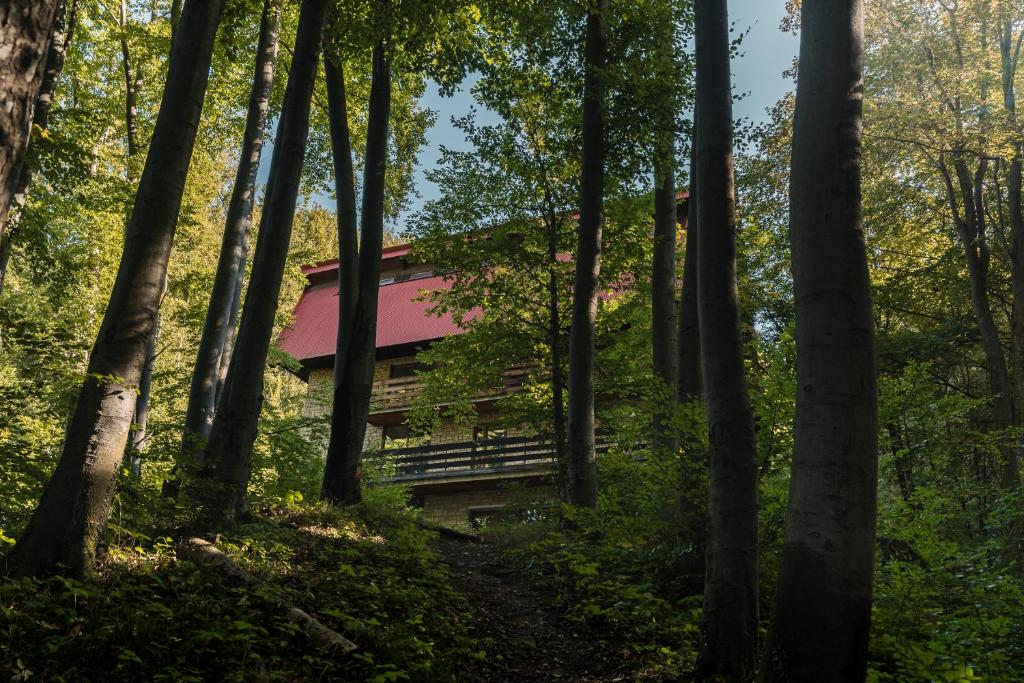 Rewita Solina - Deluxe Villa