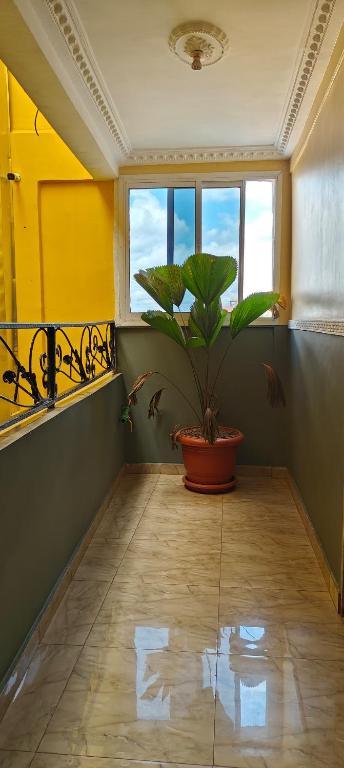 Fotografie z fotogalerie ubytování Ma'a Lapseu hôtel v destinaci Yaoundé