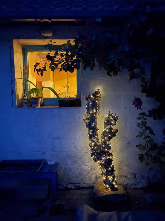 Zahrada ubytování De oude smidse - tuinkamer