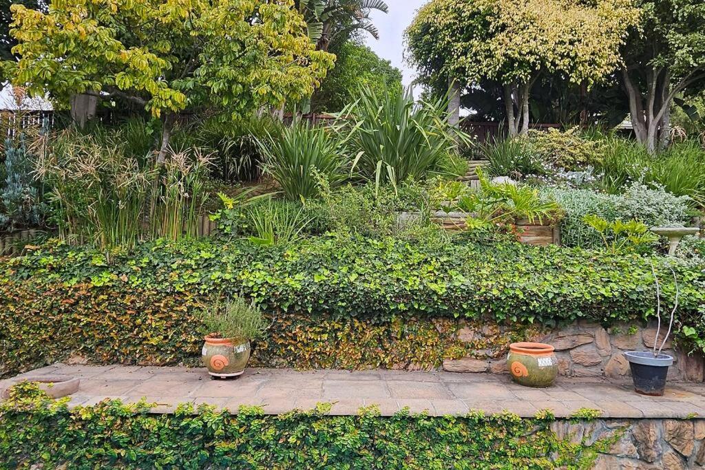 Large 3 x Bedroom Garden Oasis! - Image 28