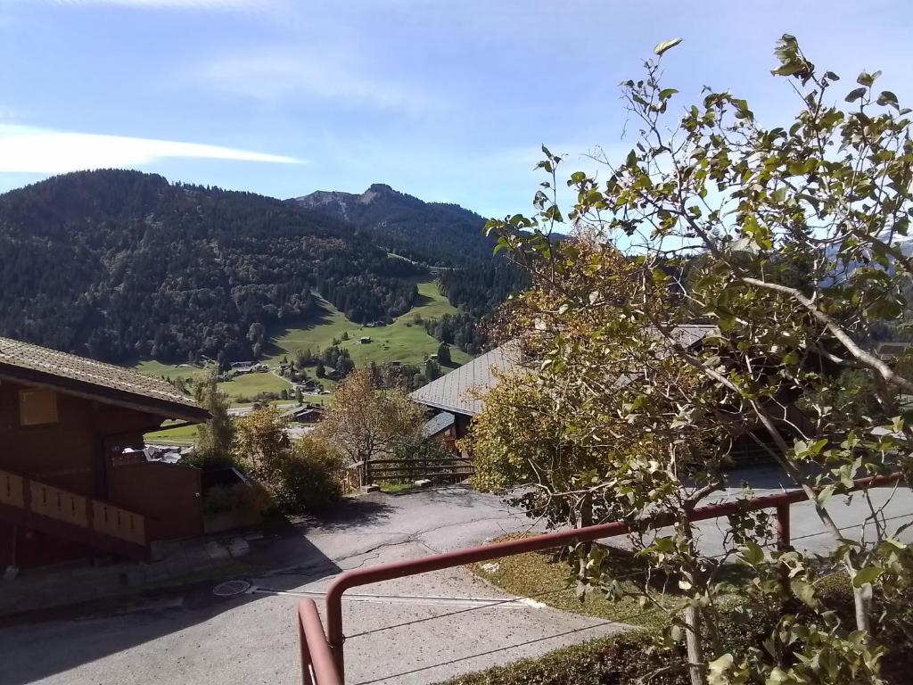 Příroda nedaleko apartmánu