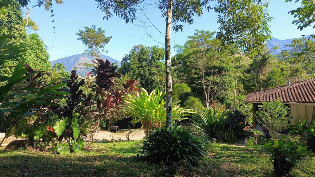 un jardín con montañas en el fondo en Acampamento no Camping Natureza Divina, en Paraty