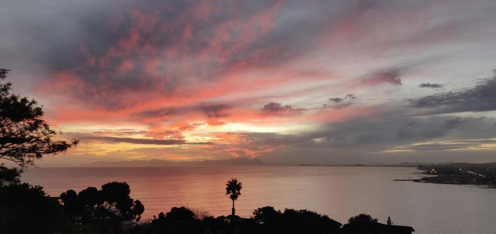 Una puesta de sol sobre un cuerpo de agua con una palmera. en Gordon's Bay Sunset View, en Ciudad del Cabo