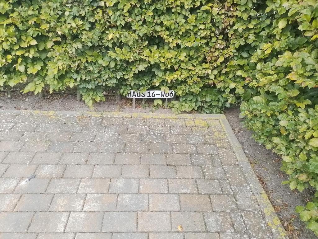 Zahrada ubytování watn Meerblick-Nordseepark Dangast, 2Schlafzimmer,2Bäder,Kamin,Parkplatz