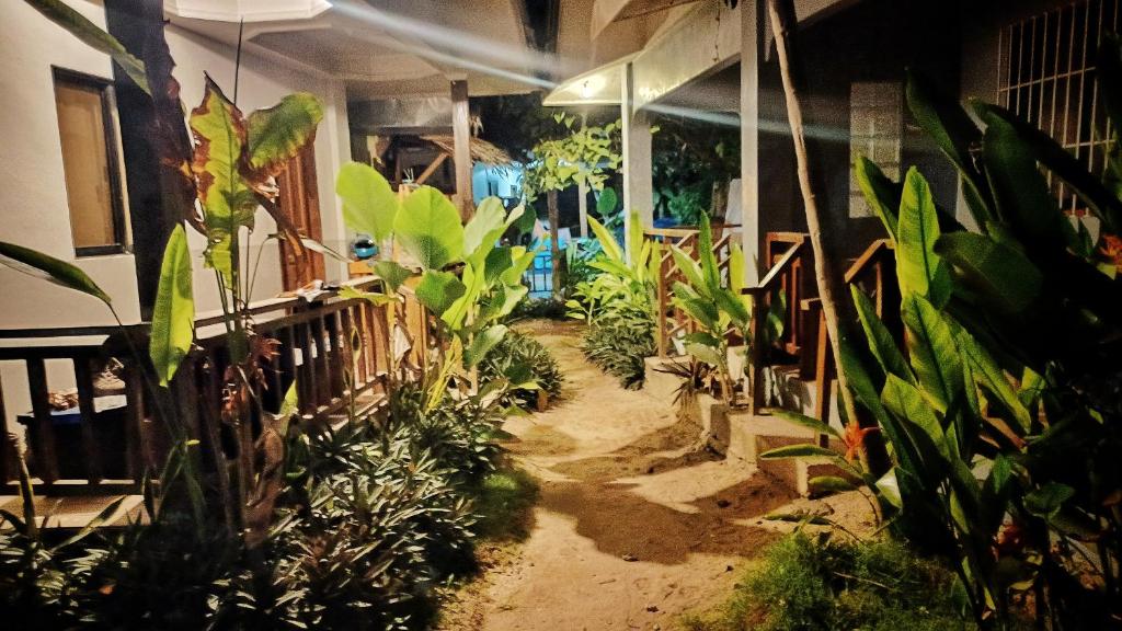 Zahrada ubytování TOBY HOUSE SiARGAO