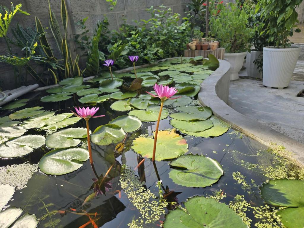 Lạc House Mũi Né Room